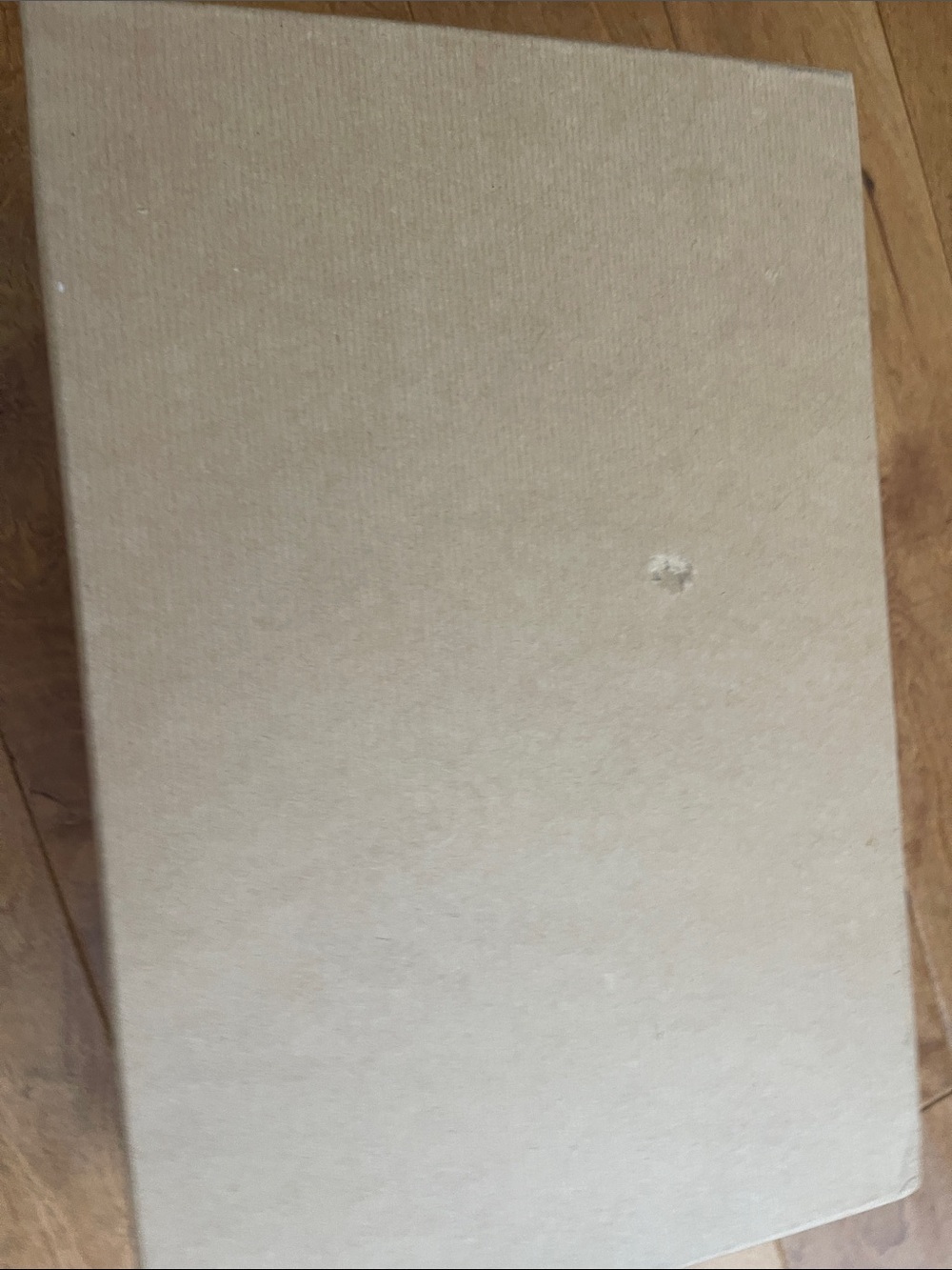Christian Louboutin Brown Box with White Logo - Picture 7 of 9